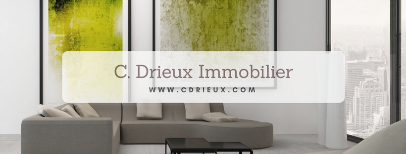 C drieux immobilier – Communication Enseignes Thur Doller