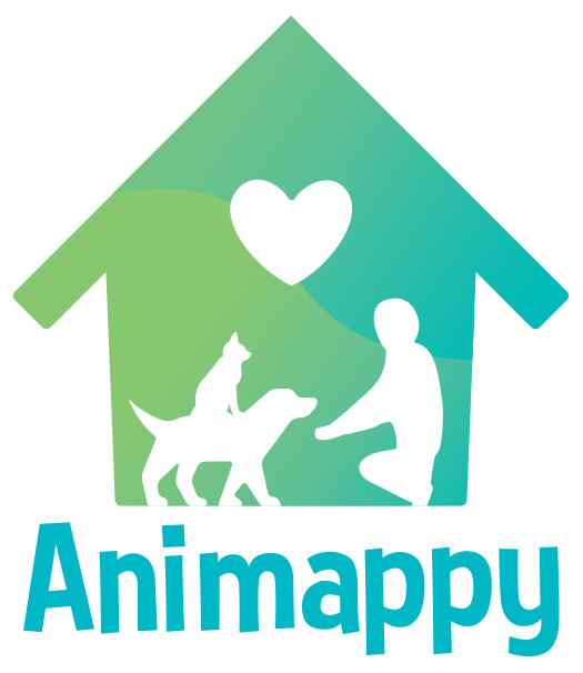 Animappy : Educateur et comportementaliste canin et félin