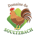 Domaine du Soultzbach – Marché de Thann