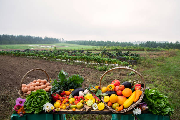 symbole gratuit PRODUITS DE LA FERME