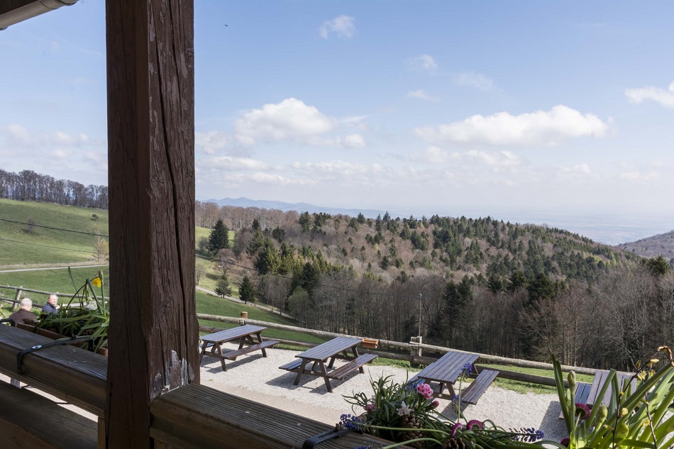 ferme auberge du molkenrain