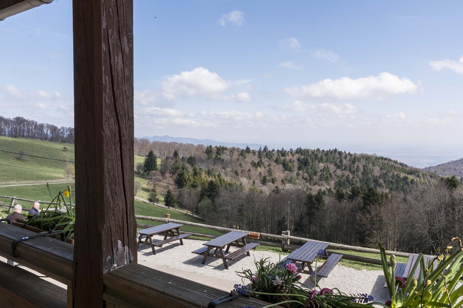 Ferme Auberge du MOLKENRAIN