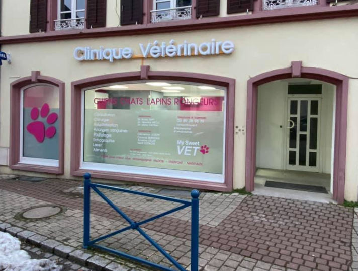 CLINIQUE MY SWEET VET