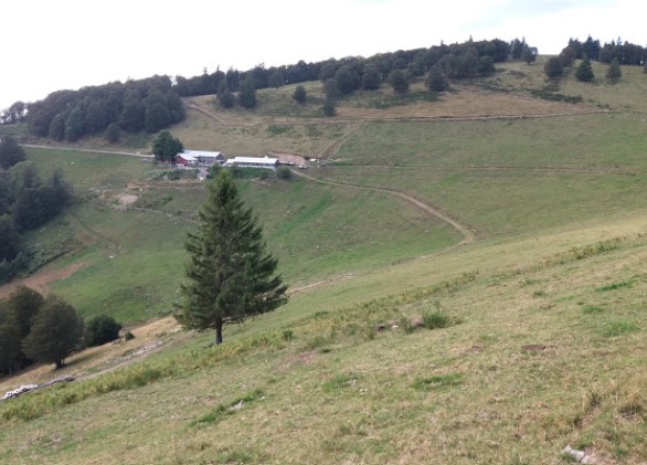 ferme auberge f fellering