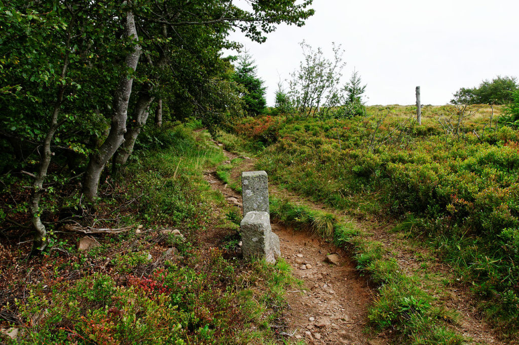 mairie wildenstein_boundary-stones