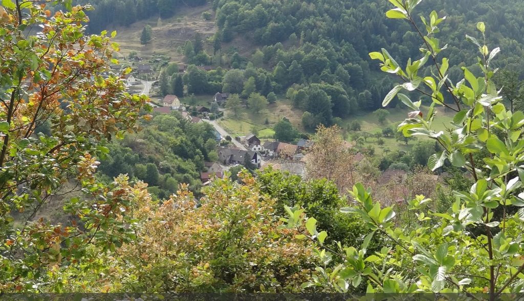 GITE LA SCIERIE ECRIN VERDURE