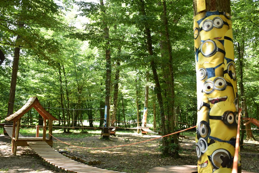 Parc Aventure Alsace-Camping des Castors