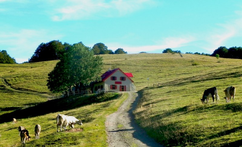 ferme auberge belacker