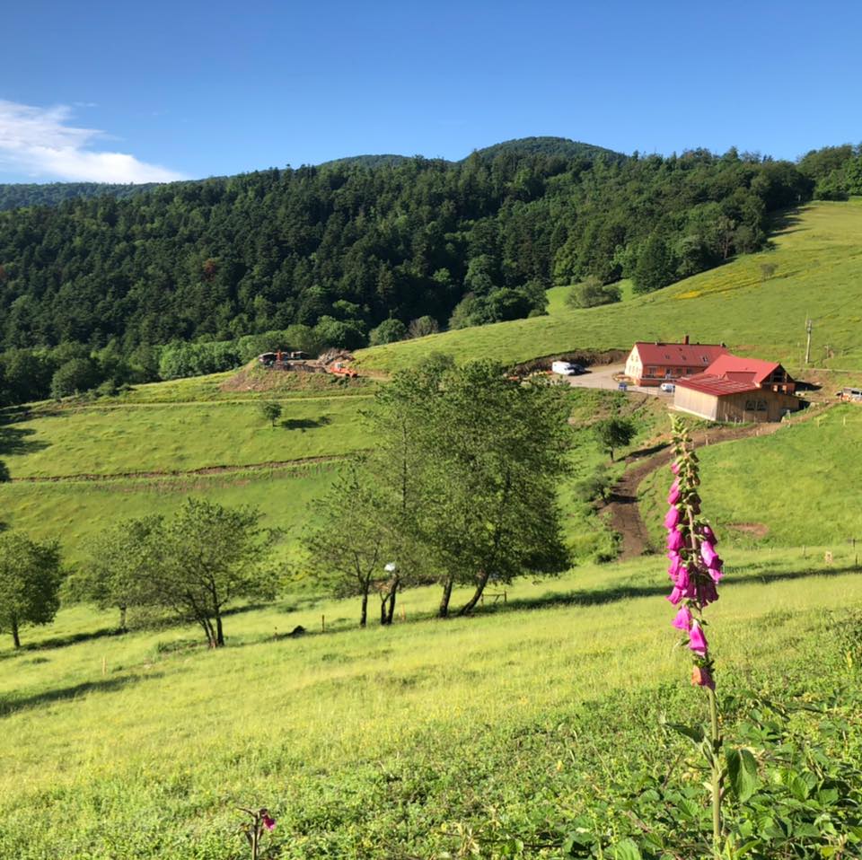 FERME AUBERGE KOHLSCHLAG