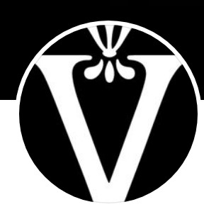 VIENNOISSERIE ET CIE LOGO